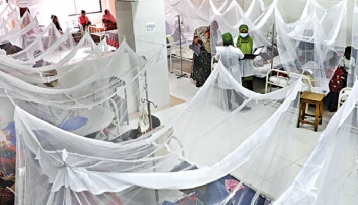 تھرپارکر: اسلام کوٹ میں ڈینگی کے کیسز کی شرح 50 فیصد سے بڑھ گئی