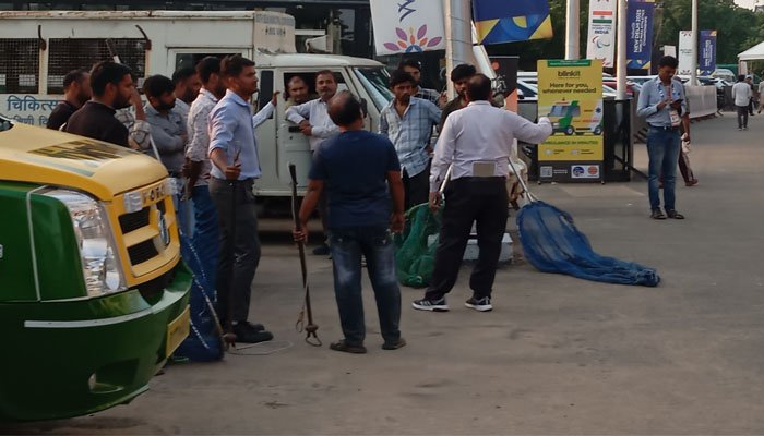 نئی دہلی کے اسٹیڈیم میں کینیا اور جاپان کے کوچز کو آوارہ کتوں نے کاٹ لیا