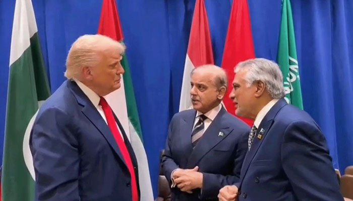 امریکی صدر ٹرمپ کے شکر گزار ہیں، فلسطین میں جنگ بندی کے قریب ہیں: شہباز شریف