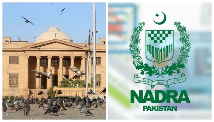 عوام کام کاج چھوڑ کر جاتے ہیں، نادرا کا رویہ بالکل ٹھیک نہیں: سندھ ہائیکورٹ برہم