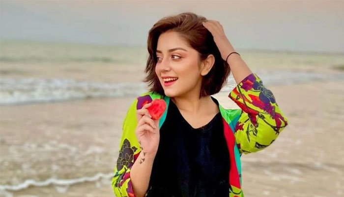 علیزے شاہ نے ایک بار پھر انسٹاگرام سے اپنی تمام تصاویر اور پوسٹس ڈیلیٹ کردیں