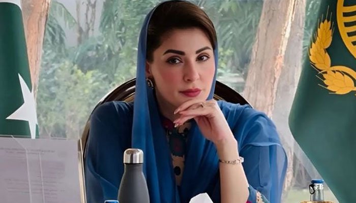 مریم نواز کی جاپان کو پنجاب میں ہائبرڈ کاروں کی تیاری اور اسمبلنگ کی دعوت