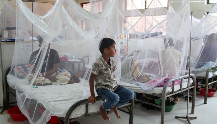 حیدرآباد سمیت اندرون سندھ میں ڈینگی اور ملیریا کے کیسز میں اضافہ