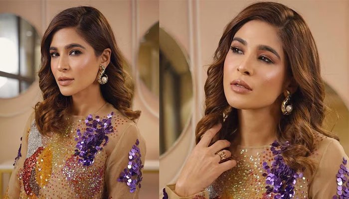 انڈسٹری میں بہت سے مرد حضرات نے حد سے تجاوز کرنے کی کوشش کی: عائشہ عمر کا انکشاف