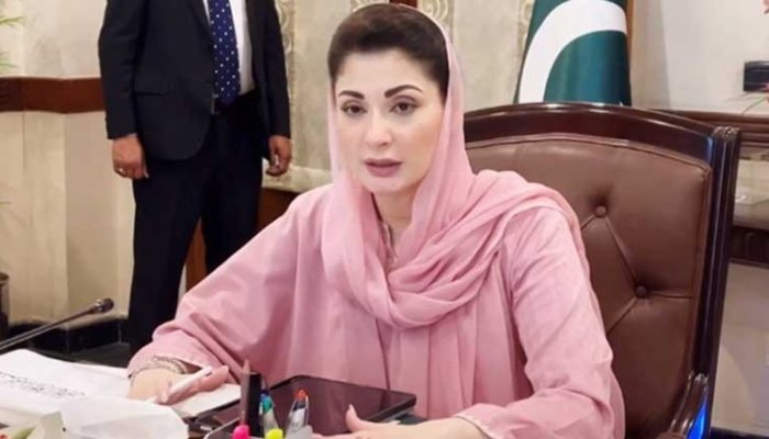 بچوں کیخلاف جرائم میں ملوث لوگ سماج کے ناسور ہیں، جڑ سے اکھاڑ پھینکیں گے: مریم نواز