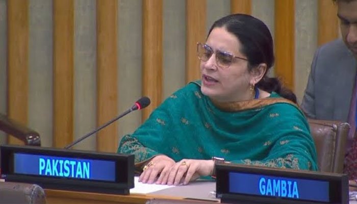 تعصب کی آگ نام نہاد سیکولر بھارت کےنقاب کو جلاچکی: یو این میں پاکستانی مندوب کا بھارت کو کرارا جواب