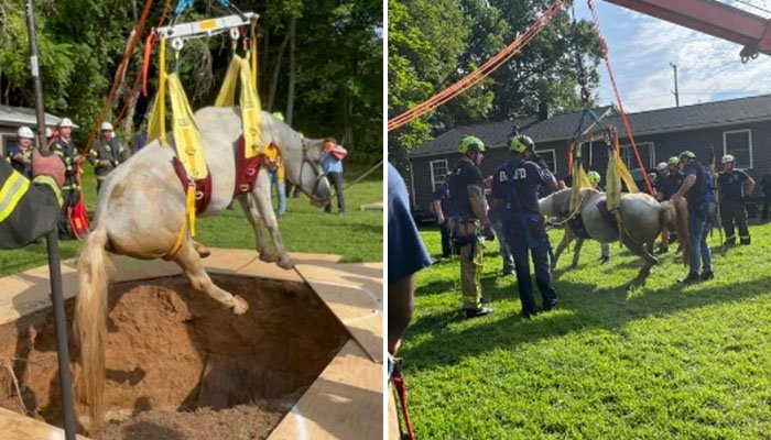 امریکا: فارم سے نکل کر بھاگنے والا گھوڑا گہرے کنویں میں جا گرا