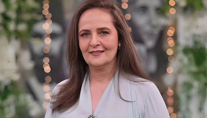 &rsquo;نااہل لوگ کراچی پر حکمرانی کررہے ہیں&lsquo;، حنا خواجہ شہر کی صورتحال پر برہم