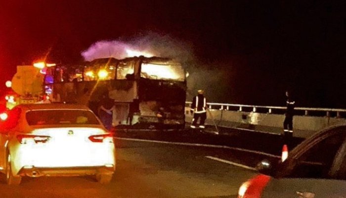 مدینہ میں آئل ٹینکر بھارتی عمرہ زائرین کی بس سے ٹکرا گیا، 40 افراد کی ہلاکت کی اطلاعات