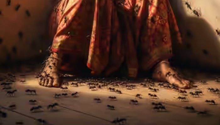 چیونٹیوں کے خوف میں مبتلا خاتون نے پھندا لگاکر خودکشی کرلی