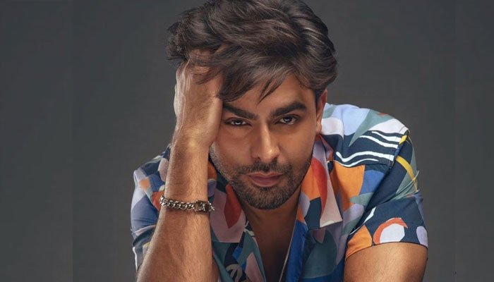 بھارت میں&rsquo; دل دل پاکستان &lsquo; گانے پر ہجوم کے حملے سے بال بال بچے: فرحان سعید نے پوری کہانی سنادی