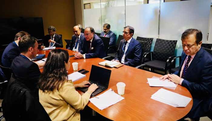 وزیر خزانہ کا پاکستان کی کریڈٹ ریٹنگ کو B- کے ساتھ مستحکم آؤٹ لک دینے پر فچ سے اظہار تشکر