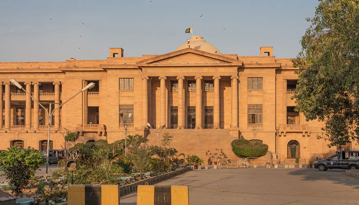 سی ای او کے الیکٹرک کی صوبائی محتسب کیخلاف درخواست، گورنر سندھ کو اپیل پر مقررہ مدت میں فیصلہ کرنیکا حکم