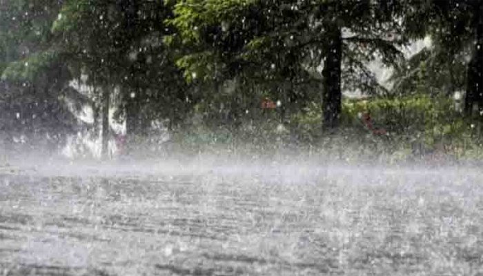 مانسہرہ میں موسلادھار بارش سے برساتی نالہ بپھر گیا، 3 گاڑیاں سیلابی ریلے میں بہہ گئیں