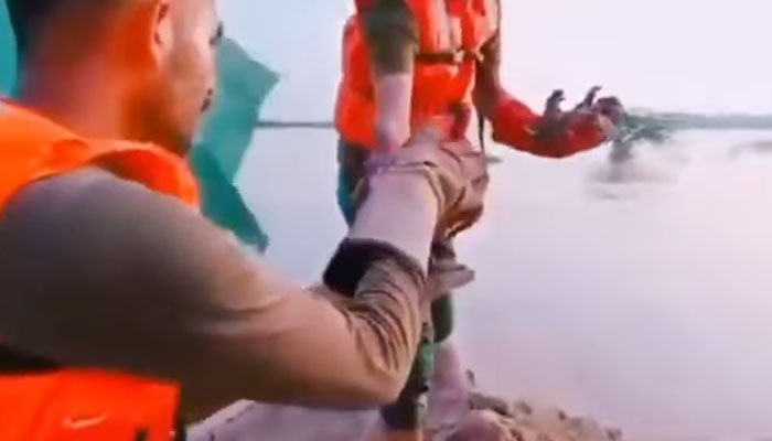 پنجاب: ریسکیو ٹیم نے کتے کے ننھے بچوں کو سیلاب میں بہنے سے بچالیا، ویڈیو وائرل